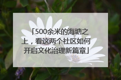 500余米的海塘之上，看这两个社区如何开启文化治理新篇章