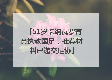 51岁卡纳瓦罗有意执教国足，推荐材料已递交足协