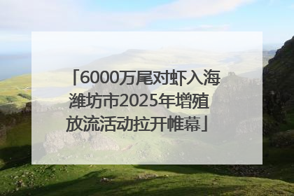 6000万尾对虾入海 潍坊市2025年增殖放流活动拉开帷幕