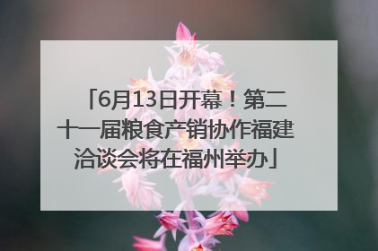 6月13日开幕！第二十一届粮食产销协作福建洽谈会将在福州举办