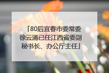 80后宜春市委常委徐云涌已任江西省委副秘书长、办公厅主任