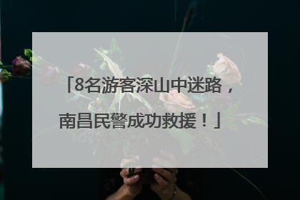 8名游客深山中迷路，南昌民警成功救援！