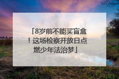 8岁前不能买盲盒！这场检察开放日点燃少年法治梦