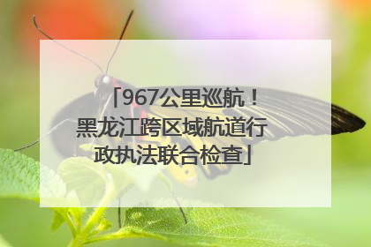967公里巡航！黑龙江跨区域航道行政执法联合检查