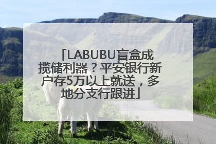 LABUBU盲盒成揽储利器？平安银行新户存5万以上就送，多地分支行跟进
