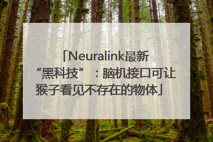 Neuralink最新“黑科技”：脑机接口可让猴子看见不存在的物体