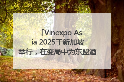Vinexpo Asia 2025于新加坡举行，在变局中为东盟酒饮贸易指明方向