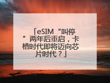 eSIM“叫停”两年后重启，卡槽时代即将迈向芯片时代？